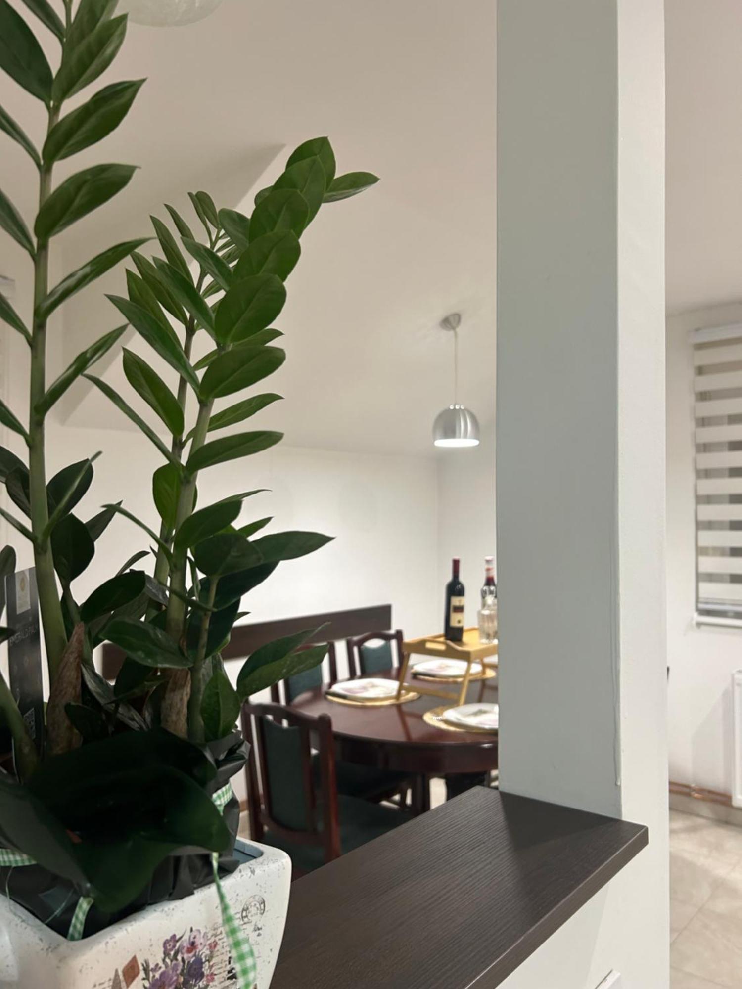 Apartman Diamond Lux Surčin 외부 사진