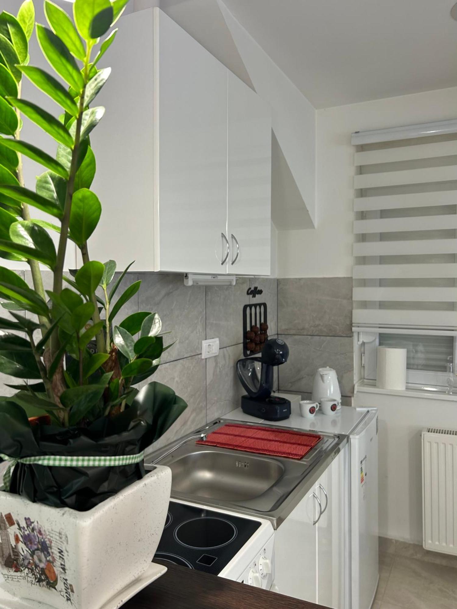 Apartman Diamond Lux Surčin 외부 사진